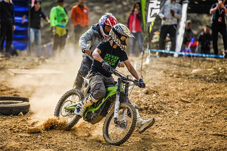 Gnarly SurRon Light Bee X S Lithium Battery Power-Assisted Electric Dirt Bike Outdoor Motocross Bike 48V/60V 3000W/4500W