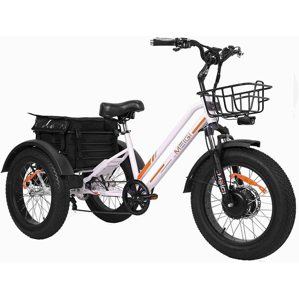DWMEIGI 3 Wheel Electric Bike