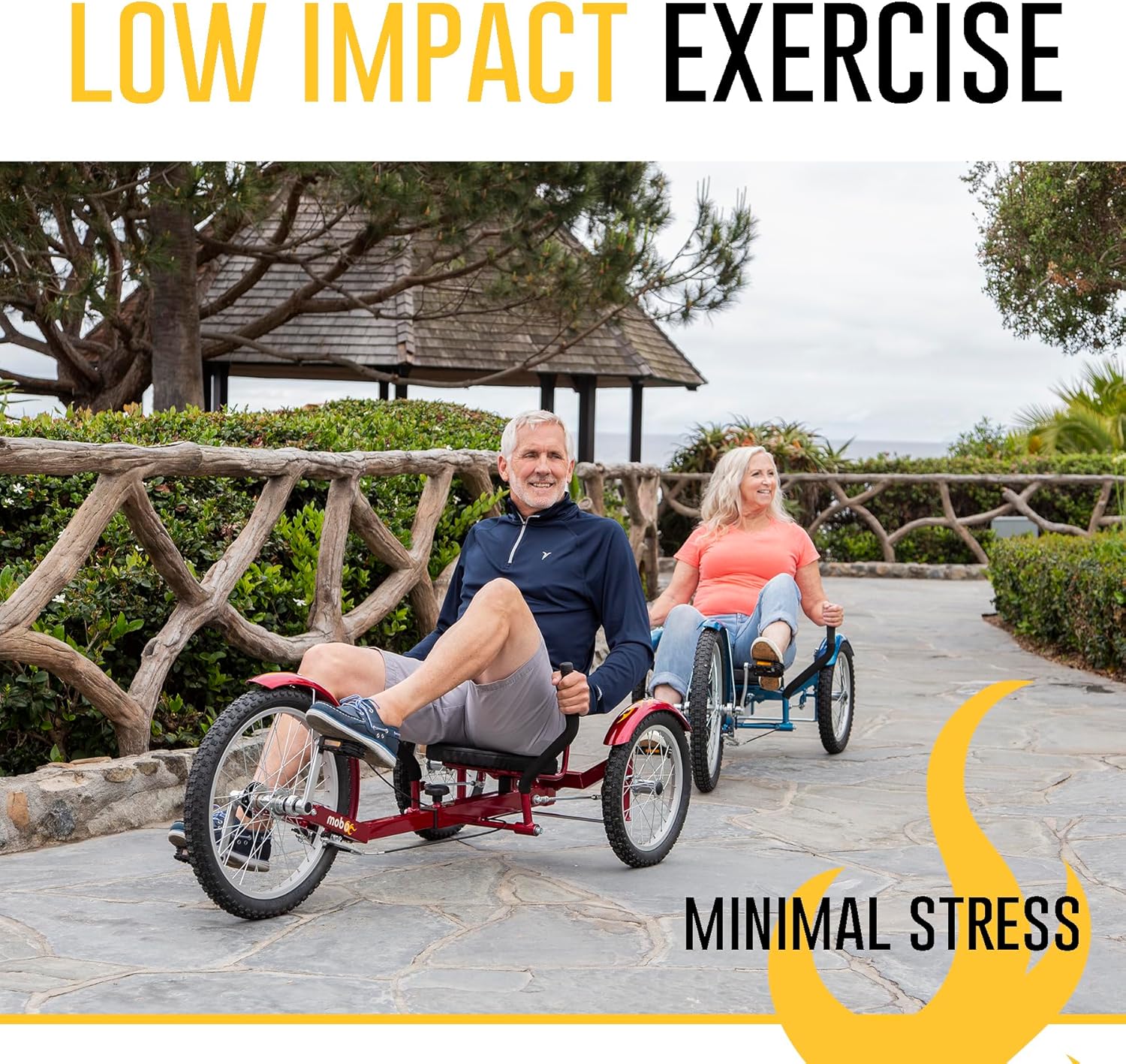 Mobo Triton Pro Adult Tricycle for Men